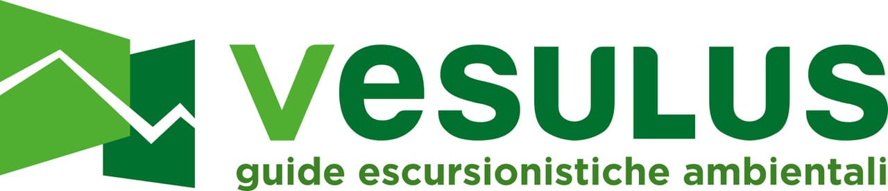 Vesulus logo